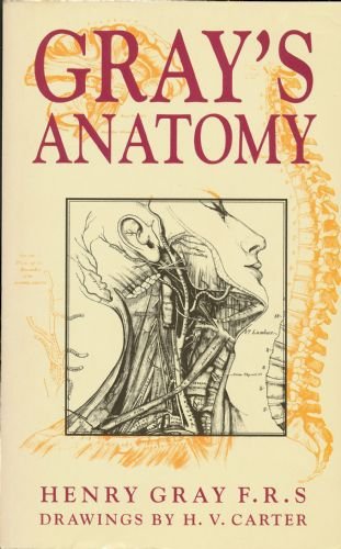 Stock image for Gray's Anatomy for sale by Half Price Books Inc.