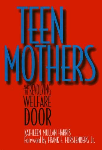 9781566394994: Teen Mothers (Women In The Political Economy)