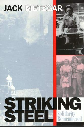 Stock image for Striking Steel (Solidarity Remembered) (Critical Perspectives on the past series) for sale by Dream Books Co.