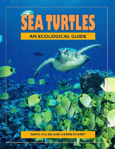 Beispielbild fr Sea Turtles : An Ecological Guide zum Verkauf von Better World Books