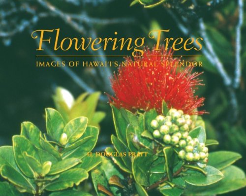 Imagen de archivo de Flowering Trees; Images of Hawaii's Natural Beauty a la venta por Once Upon A Time Books
