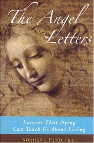 Stock image for The Angel Letters : Lessons That Dying Can Teach Us about Living for sale by Better World Books: West