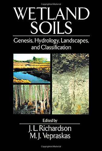 Beispielbild fr Wetlands Soils : Genesis, Hydrology, Landscapes, and Classification zum Verkauf von Better World Books