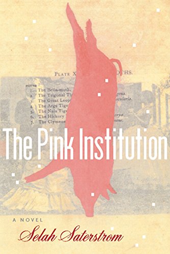 Imagen de archivo de The Pink Institution a la venta por Lakeside Books