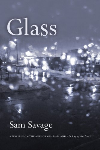 Imagen de archivo de Glass; A Novel a la venta por Books End Bookshop