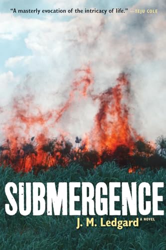 Stock image for Submergence for sale by SecondSale