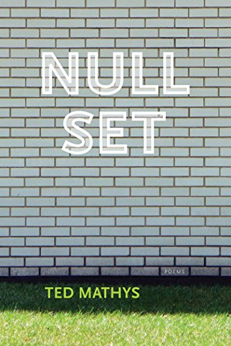 Imagen de archivo de Null Set a la venta por Better World Books
