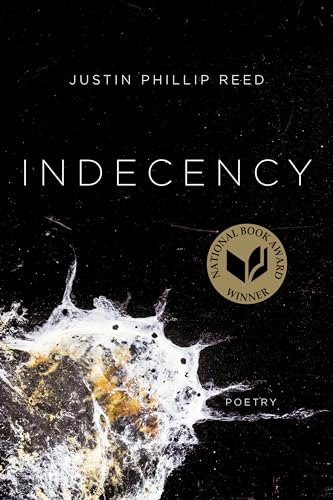 Imagen de archivo de Indecency a la venta por Bookmonger.Ltd