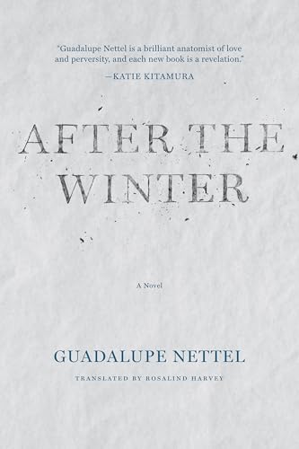 Imagen de archivo de After the Winter a la venta por SecondSale