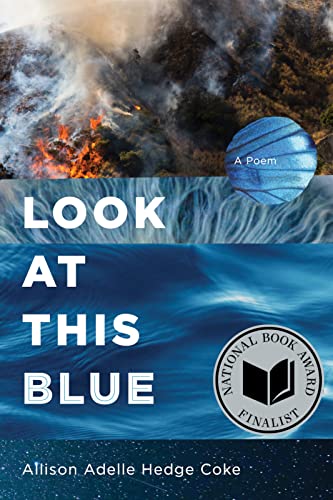 Beispielbild fr Look at This Blue zum Verkauf von Better World Books