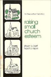 Stock image for Raising Small Church Esteem for sale by SecondSale