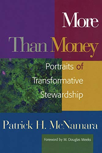 Imagen de archivo de More Than Money : Portraits of Transformative Stewardship a la venta por Better World Books