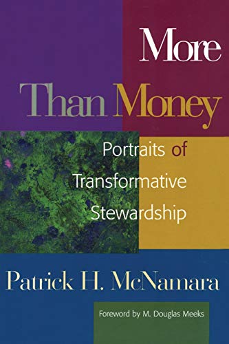 Stock image for More Than Money: Portraits of Transformative Stewardship (Money, Faith and Lifestyle) for sale by Ergodebooks