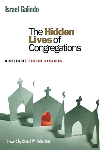 Beispielbild fr The Hidden Lives of Congregations: Discerning Church Dynamics zum Verkauf von HPB-Emerald