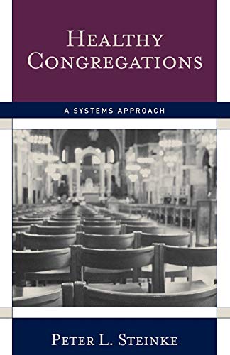 Beispielbild fr Healthy Congregations: A Systems Approach zum Verkauf von Indiana Book Company