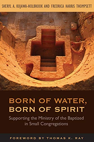 Beispielbild fr Born of Water, Born of Spirit: Supporting the Ministry of the Baptized in Small Congregations zum Verkauf von Half Price Books Inc.