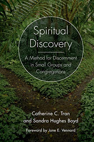 Beispielbild fr Spiritual Discovery: A Method for Discernment in Small Groups and Congregations zum Verkauf von SecondSale