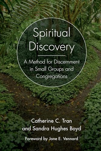 Stock image for Spiritual Discovery: A Method for Discernment in Small Groups and Congregations for sale by SecondSale