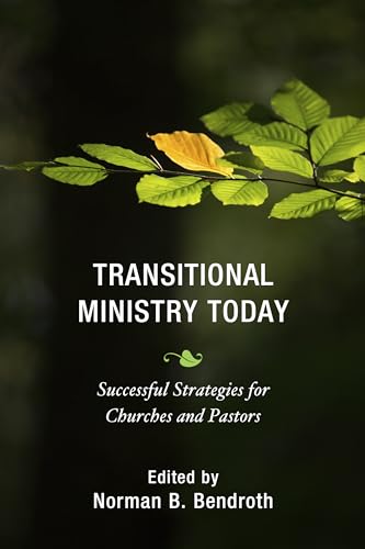 Beispielbild fr Transitional Ministry Today: Successful Strategies for Churches and Pastors zum Verkauf von Revaluation Books