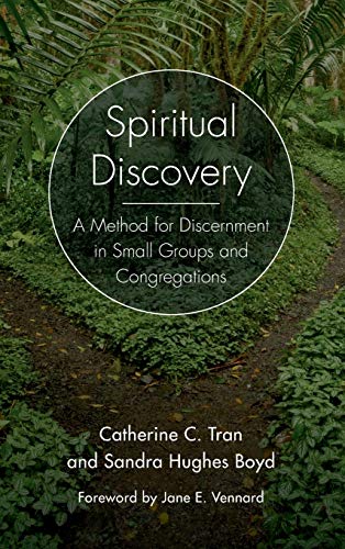 Beispielbild fr Spiritual Discovery: A Method for Discernment in Small Groups and Congregations zum Verkauf von Michael Lyons