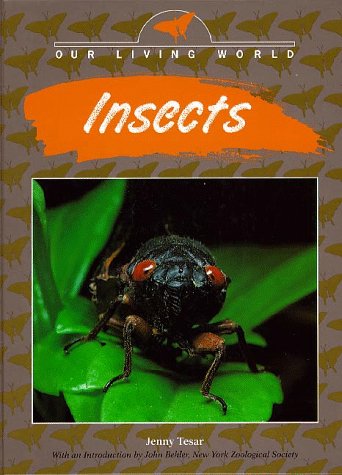 Beispielbild fr Insects zum Verkauf von ThriftBooks-Atlanta