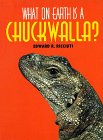 Beispielbild fr What on Earth Is a Chuckwalla? zum Verkauf von Better World Books