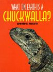 Imagen de archivo de What on Earth Is a Chuckwalla? a la venta por Better World Books