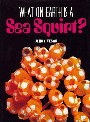 Beispielbild fr What on Earth Is a Sea Squirt zum Verkauf von Better World Books