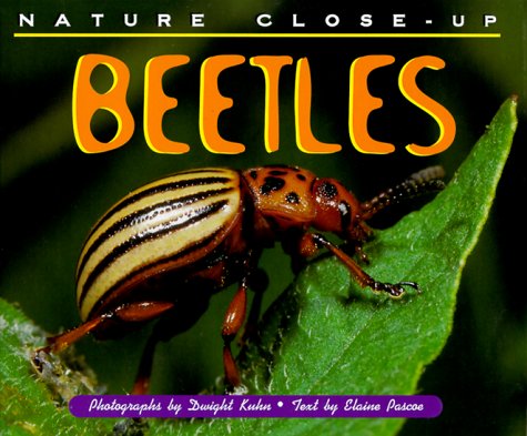 Beispielbild fr Beetles zum Verkauf von Better World Books