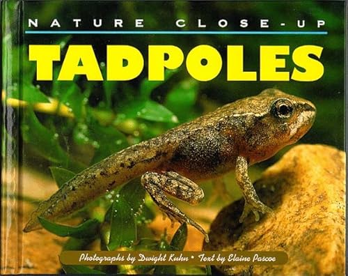 Beispielbild fr Nature Close-Up - Tadpoles zum Verkauf von BooksRun