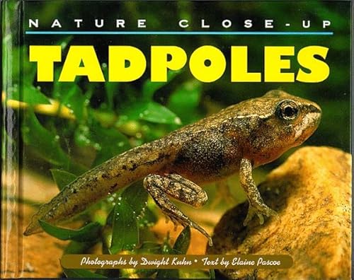 Imagen de archivo de Nature Close-Up - Tadpoles a la venta por BooksRun