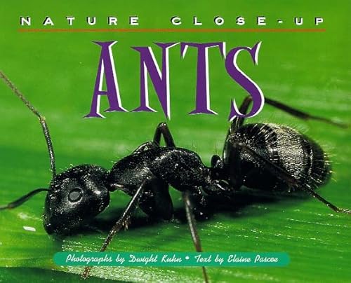 Nature Close-Up - Ants (9781567111835) by Elaine Pascoe