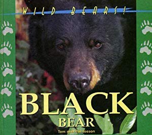 Stock image for Black Bear for sale by ThriftBooks-Atlanta