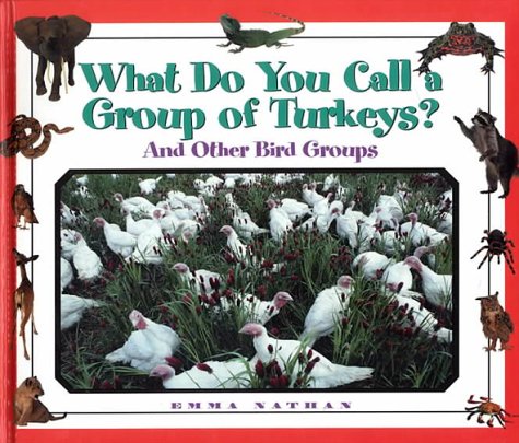 Imagen de archivo de What Do You Call a Group of Turkeys? : And Other Bird Groups a la venta por Better World Books