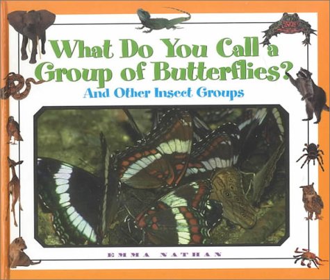 9781567113594: What Do You Call a Group of Butterflies? And Other Insect Groups (What Do You Call a Group Of)