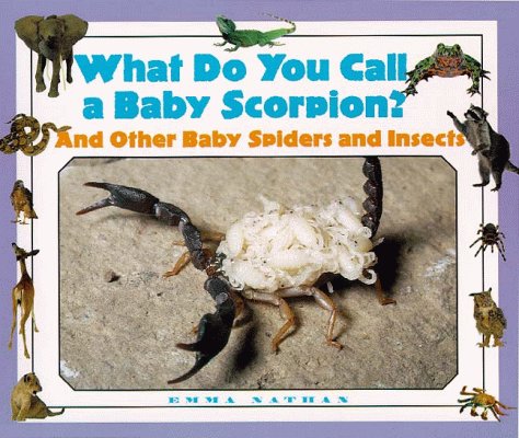 Beispielbild fr What Do You Call a Baby - Scorpion? And Other Baby Spiders and Insects zum Verkauf von Irish Booksellers