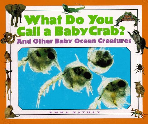 Beispielbild fr What Do You Call a Baby Crab? : And Other Baby Ocean Creatures zum Verkauf von Better World Books