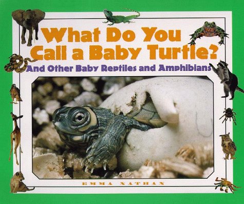 Beispielbild fr What Do You Call a Baby Turtle? zum Verkauf von M & M Books
