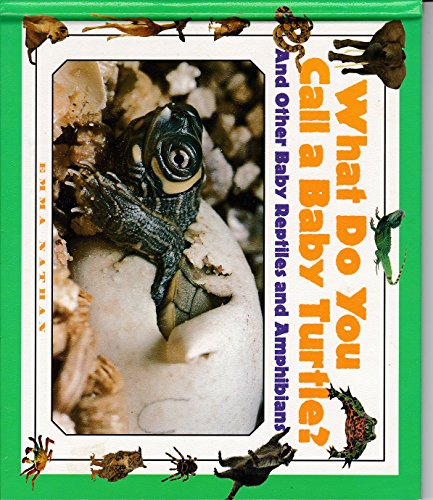 Imagen de archivo de What Do You Call a Baby Turtle? a la venta por M & M Books