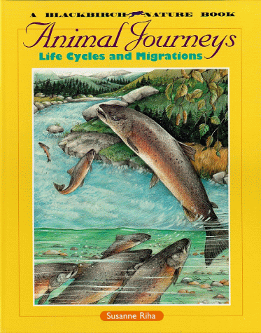 Beispielbild fr Animal Journeys : Life Cycles and Migrations zum Verkauf von Better World Books