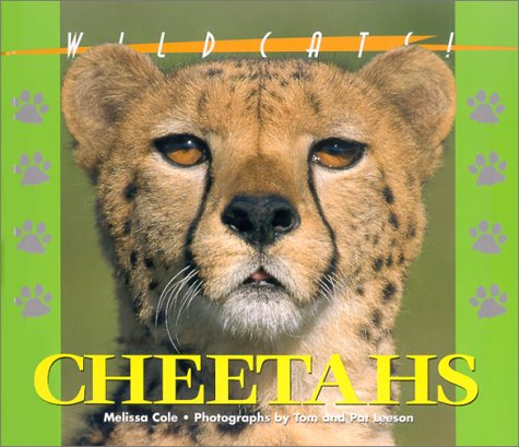 Stock image for Wildcats of the World - Cheetahs for sale by Friends of the Brownsburg Public Library