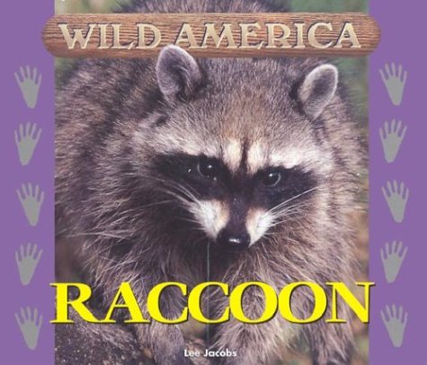 Stock image for Raccoon for sale by ThriftBooks-Atlanta