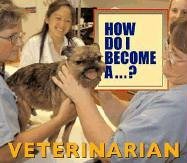 Beispielbild fr How Do I Become A.? - Veterinarian zum Verkauf von Wonder Book