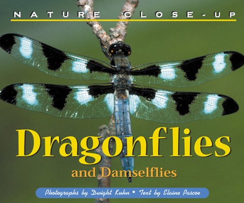 Stock image for Nature Close Up: Dragonflies for sale by ThriftBooks-Atlanta