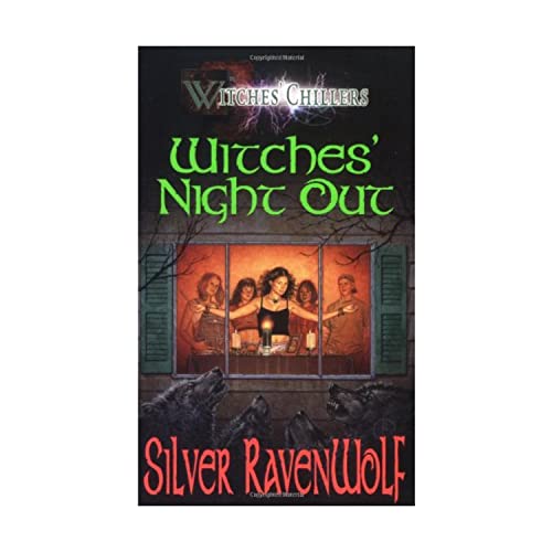 Imagen de archivo de Witches' Night Out (Witches' Chillers) a la venta por SecondSale