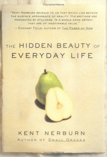Imagen de archivo de The Hidden Beauty of Everyday Life a la venta por Wonder Book