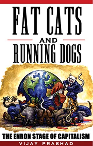 Stock image for Fat Cats and Running Dogs: The Enron Stage of Capitalism for sale by Books From California