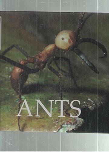 Ants (9781567660562) by Ross, Edward S.