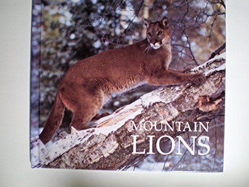 Beispielbild fr Mountain Lions zum Verkauf von Better World Books