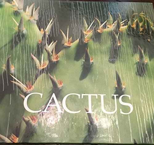 9781567661910: Cactus
